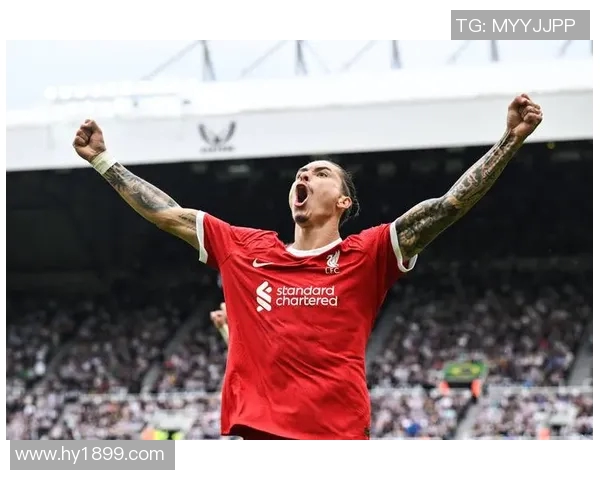 努涅斯在赛场上的崛起与挑战解析,展望未来的职业生涯发展与可能性